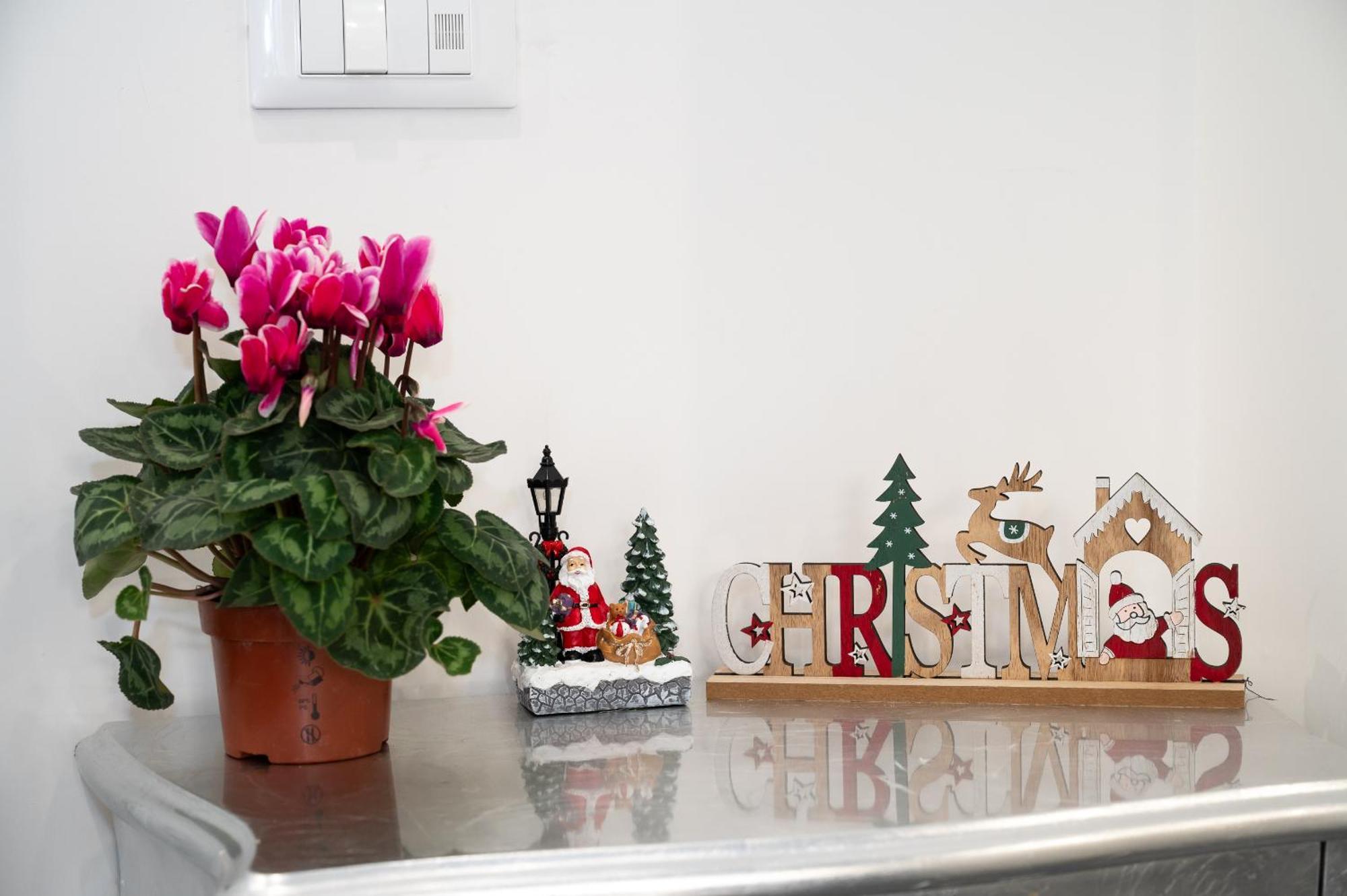 St. Peter Boutique Apt Roma Dış mekan fotoğraf